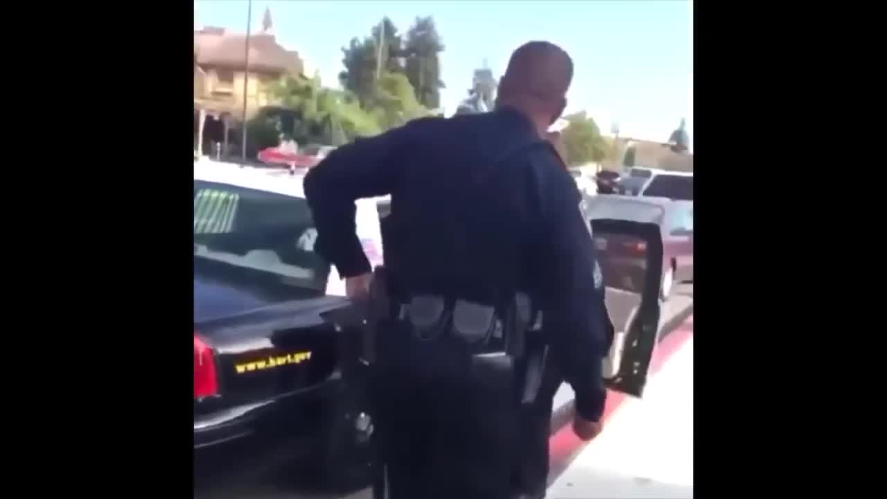 What are those!?