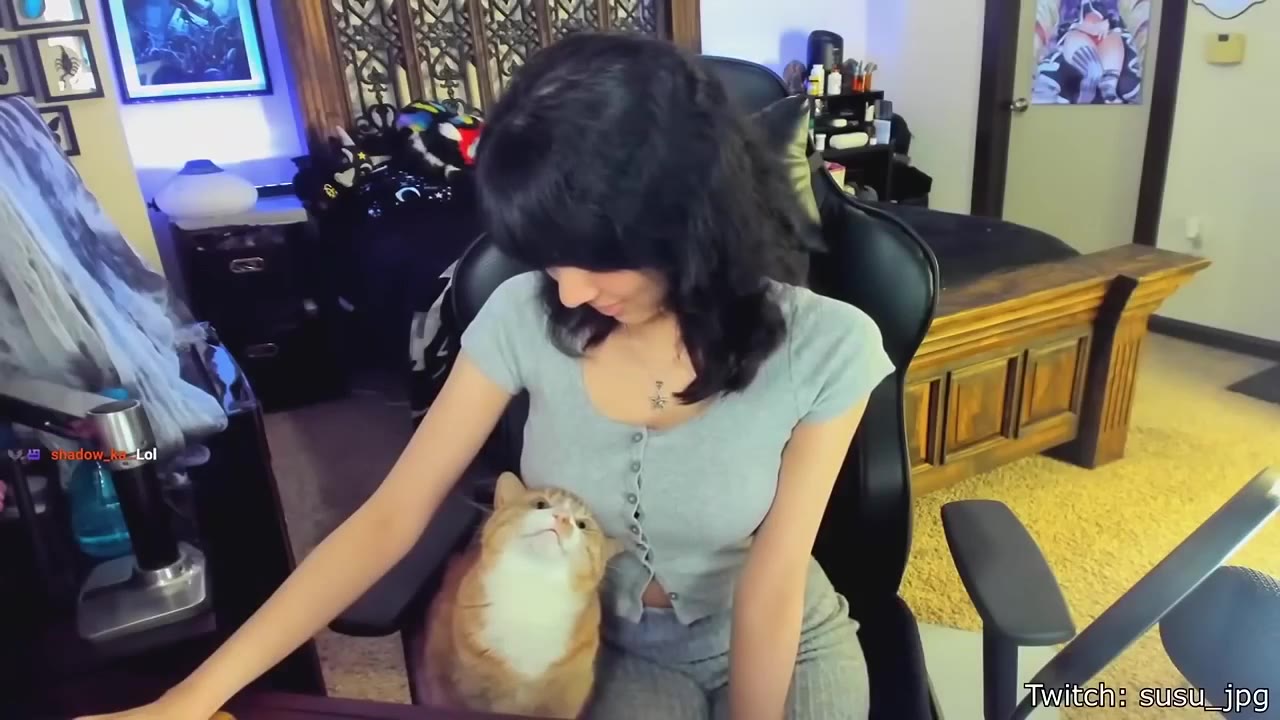 Woman Holds Fluffy White Cat
