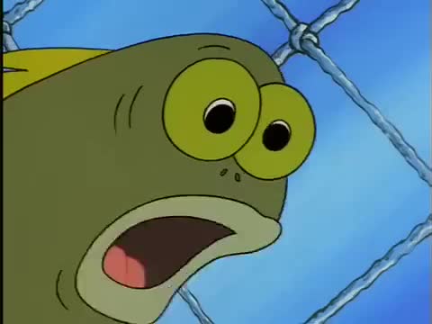 You what?!?!